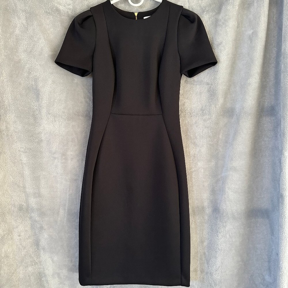 Calvin Klein Womens size 2 Black Knee Length Silhouette Dress